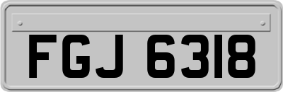 FGJ6318