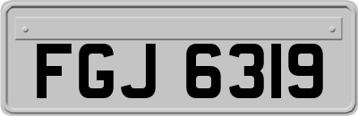 FGJ6319