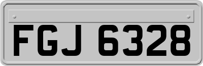FGJ6328