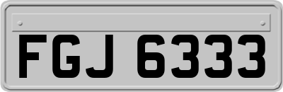 FGJ6333