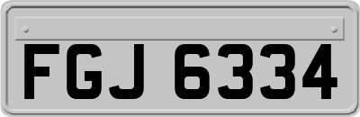 FGJ6334