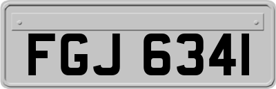 FGJ6341