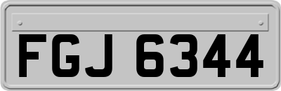 FGJ6344