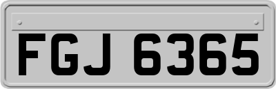FGJ6365