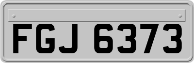 FGJ6373