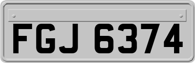 FGJ6374