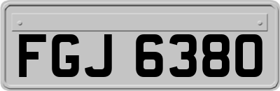 FGJ6380