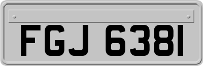 FGJ6381