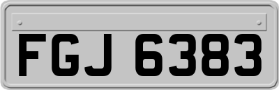 FGJ6383