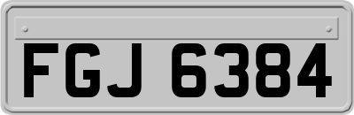 FGJ6384