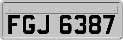FGJ6387