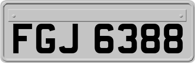 FGJ6388