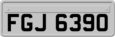 FGJ6390