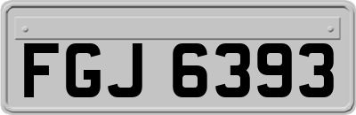 FGJ6393