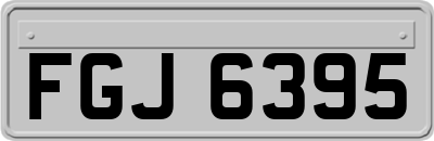FGJ6395