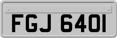 FGJ6401