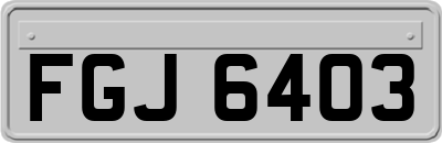 FGJ6403