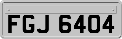 FGJ6404