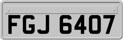 FGJ6407
