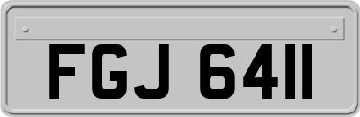 FGJ6411