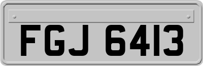 FGJ6413
