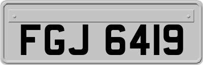 FGJ6419