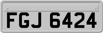 FGJ6424