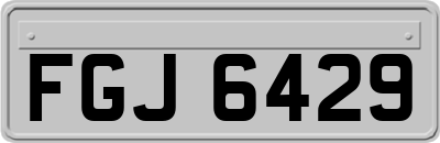 FGJ6429