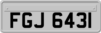 FGJ6431