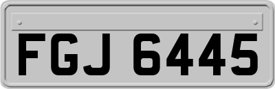 FGJ6445