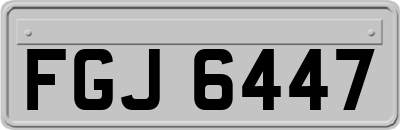 FGJ6447