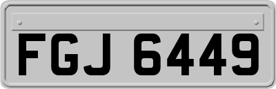 FGJ6449