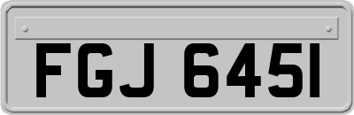 FGJ6451