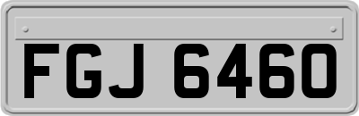 FGJ6460