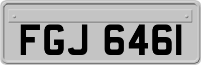 FGJ6461