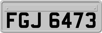 FGJ6473