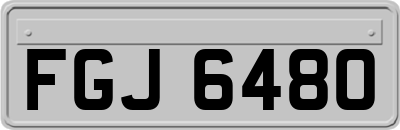 FGJ6480
