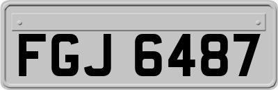 FGJ6487