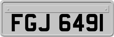 FGJ6491