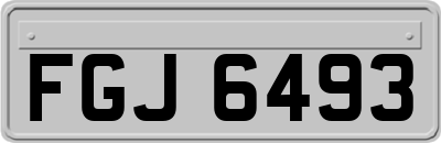 FGJ6493
