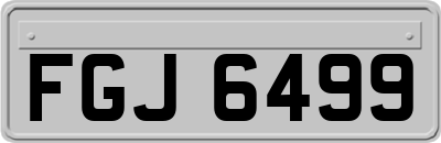 FGJ6499