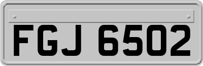 FGJ6502