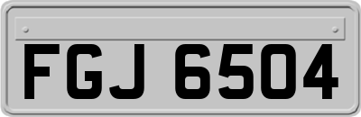FGJ6504