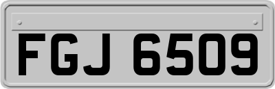 FGJ6509