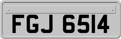 FGJ6514