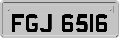 FGJ6516
