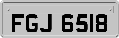 FGJ6518