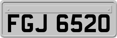FGJ6520