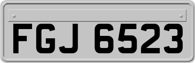 FGJ6523