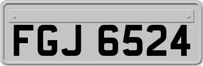 FGJ6524